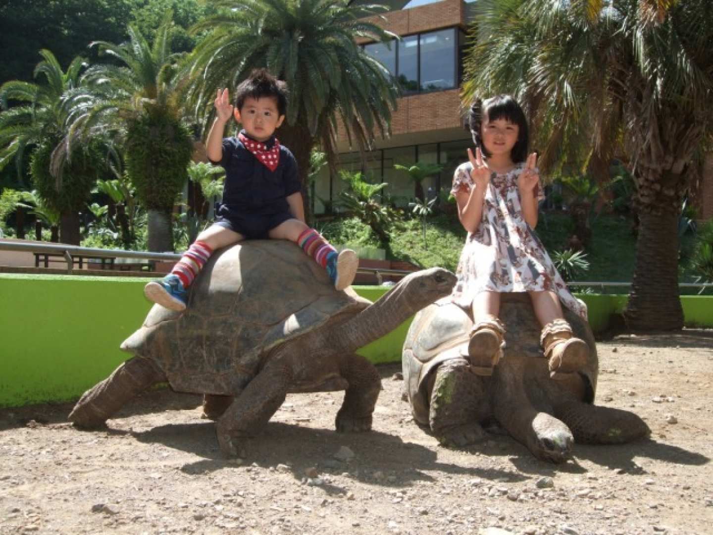 Up to JP¥200 discount | iZoo & KawaZoo Mutual Admission Ticket | Shizuoka, Japan