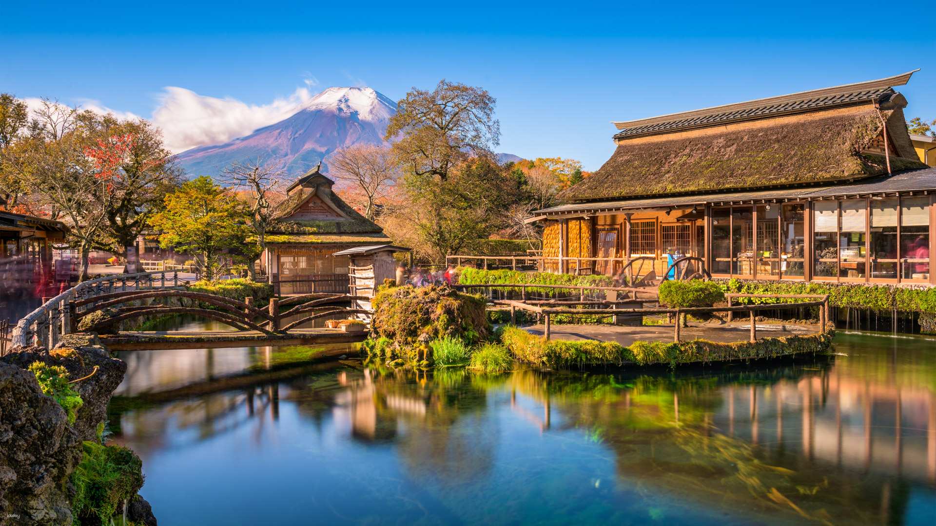 [guaranteed Departure For Solo Travelers] Mt. Fuji 1-day Tour From Shinjuku, Tokyo: Mt. Fuji 5th Station, Oshino Hakkai & Mt. Fuji Panoramic Ropeway | Japan