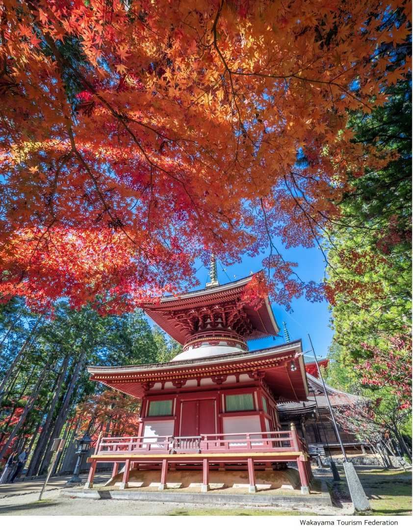 [Private Tour] Mt.Koya 1-day walking tour (Round trip from Osaka)