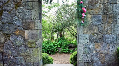 Camellia Hill Botanical Garden Admission