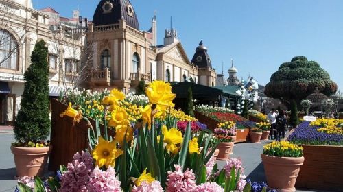 EVERLAND From Hotel to Hotel [Premium Private Tour: Only One Group for You]