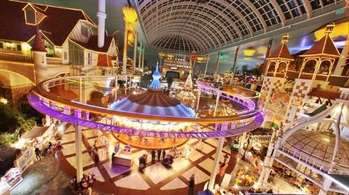 Everland or Lotte World Theme Park Day Trip from Seoul