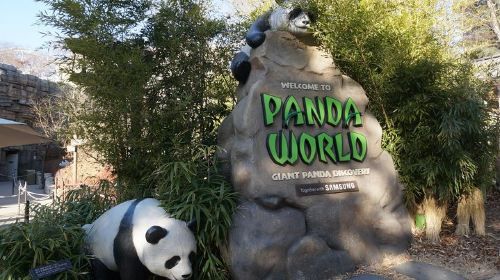 Everland Private Shuttle Total Private Tour: More Members Less Cost