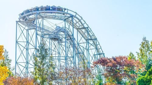 Everland Theme Park Admission Ticket with Transfer from Seoul