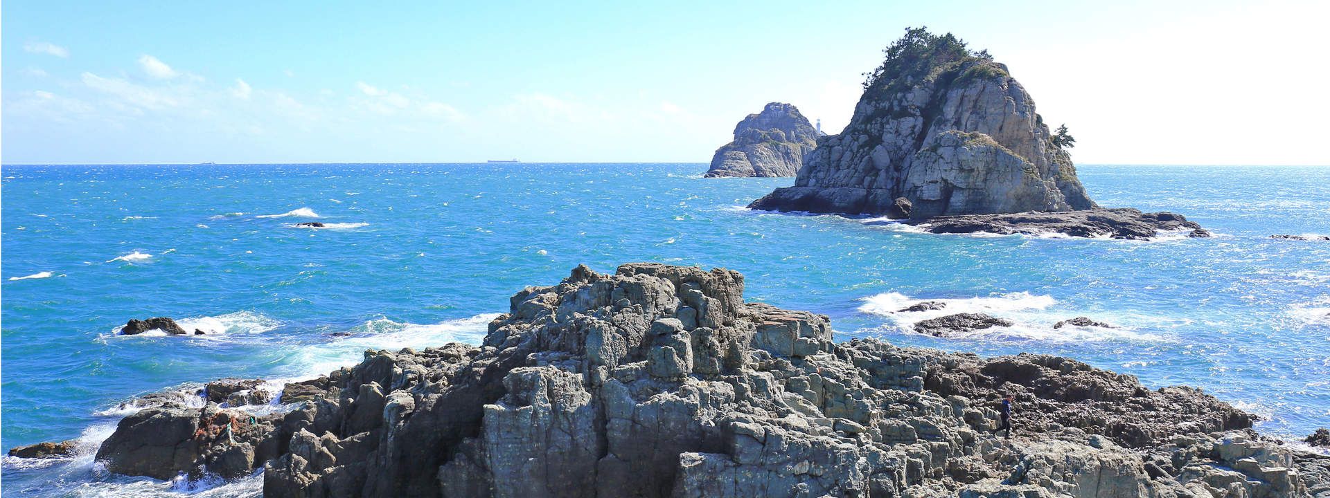 Exploring Busan Full Day Tour