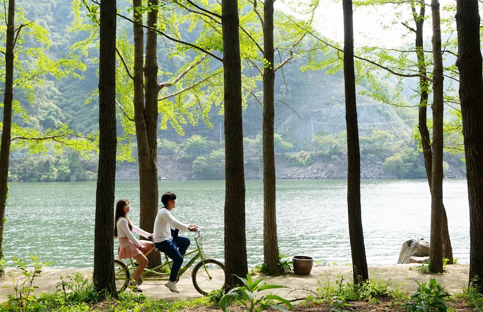 Full Day Nami island Tour from Seoul