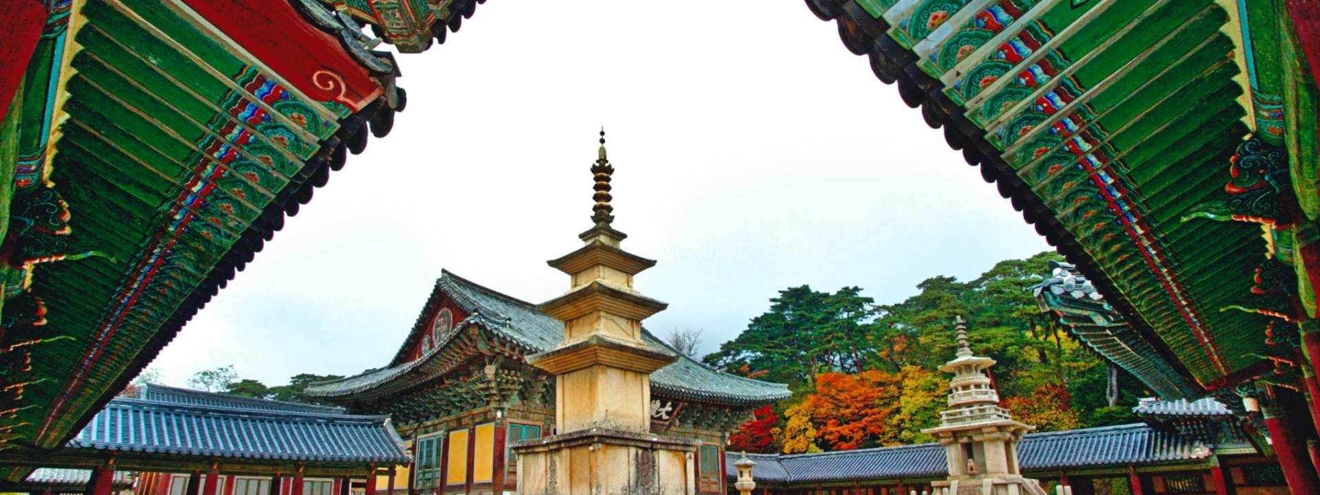 Gyeongju Day Tour from Daegu