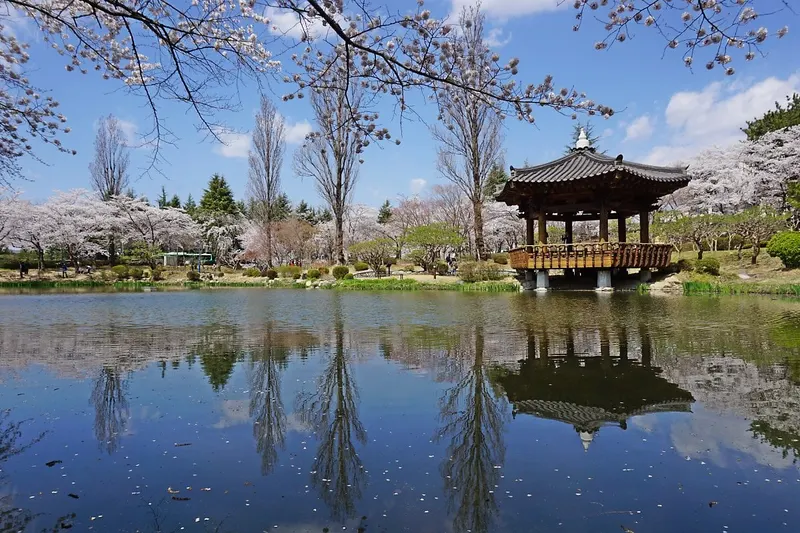Gyeongju Full Day Guided Tour