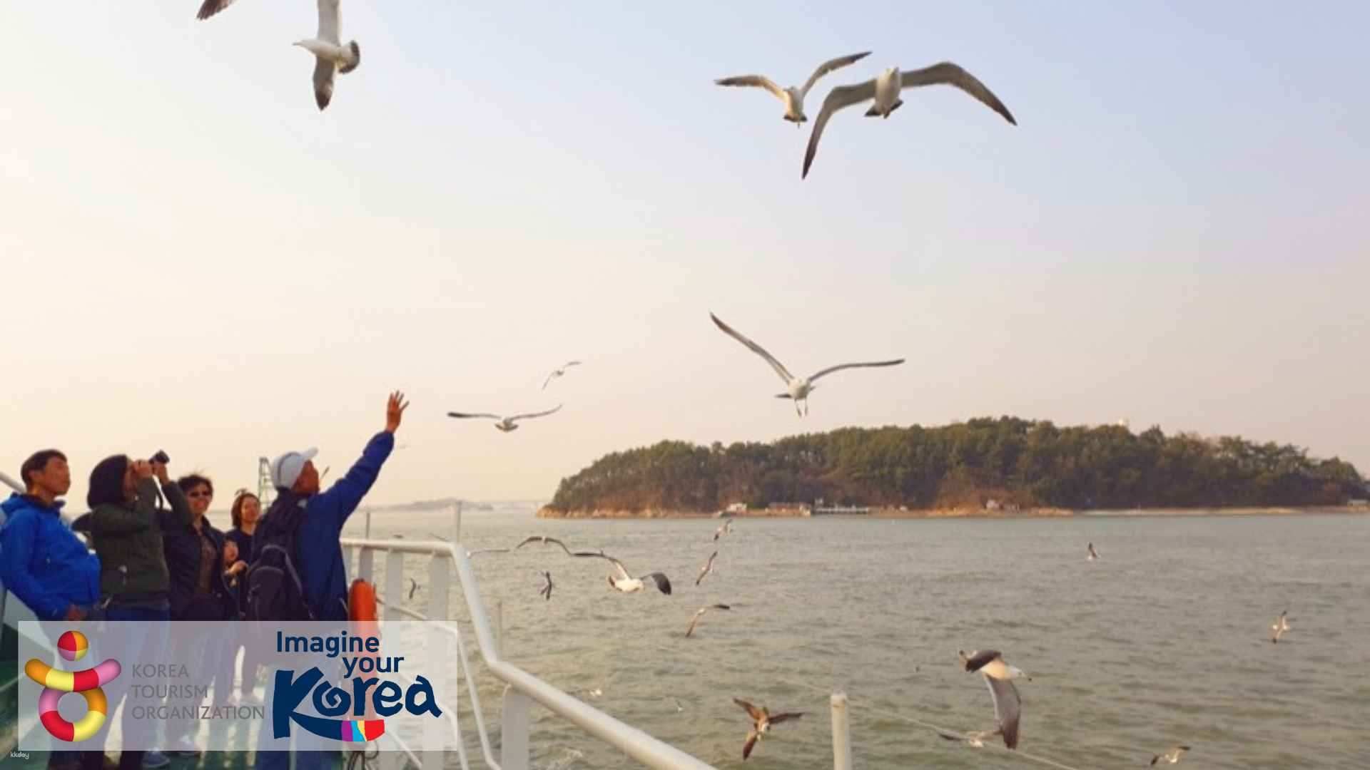 Incheon Day Tour | Ganghwa Seaside Resort Luge, Yeongjongdo Seaside Railbike, Wolmido Seagull Feeding, Songwol-dong Fairy Tale Village & Chinatown