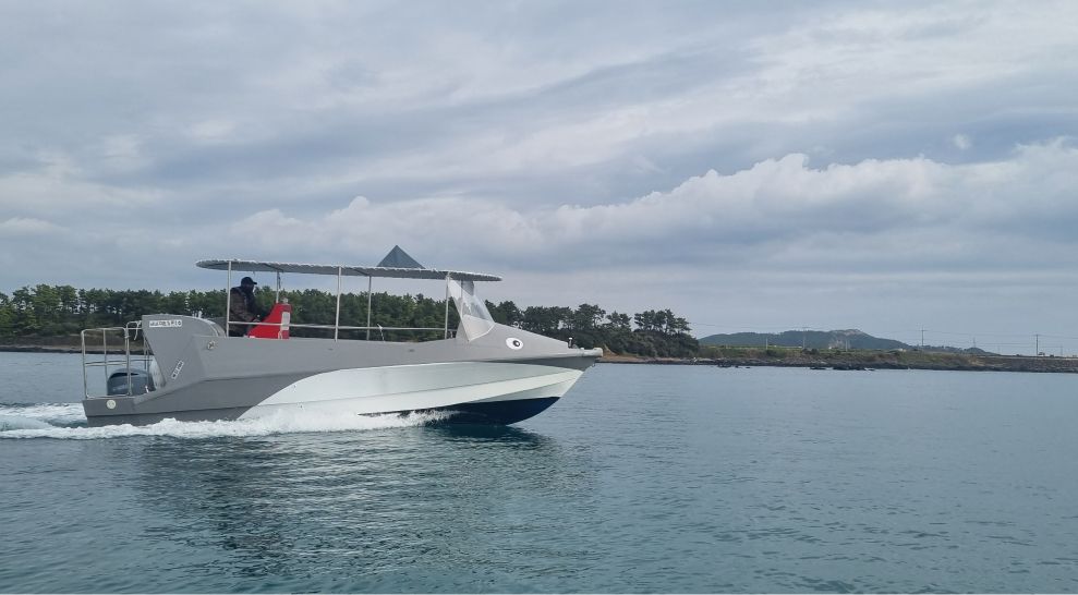 Jeju Hamo Dolphin Tour