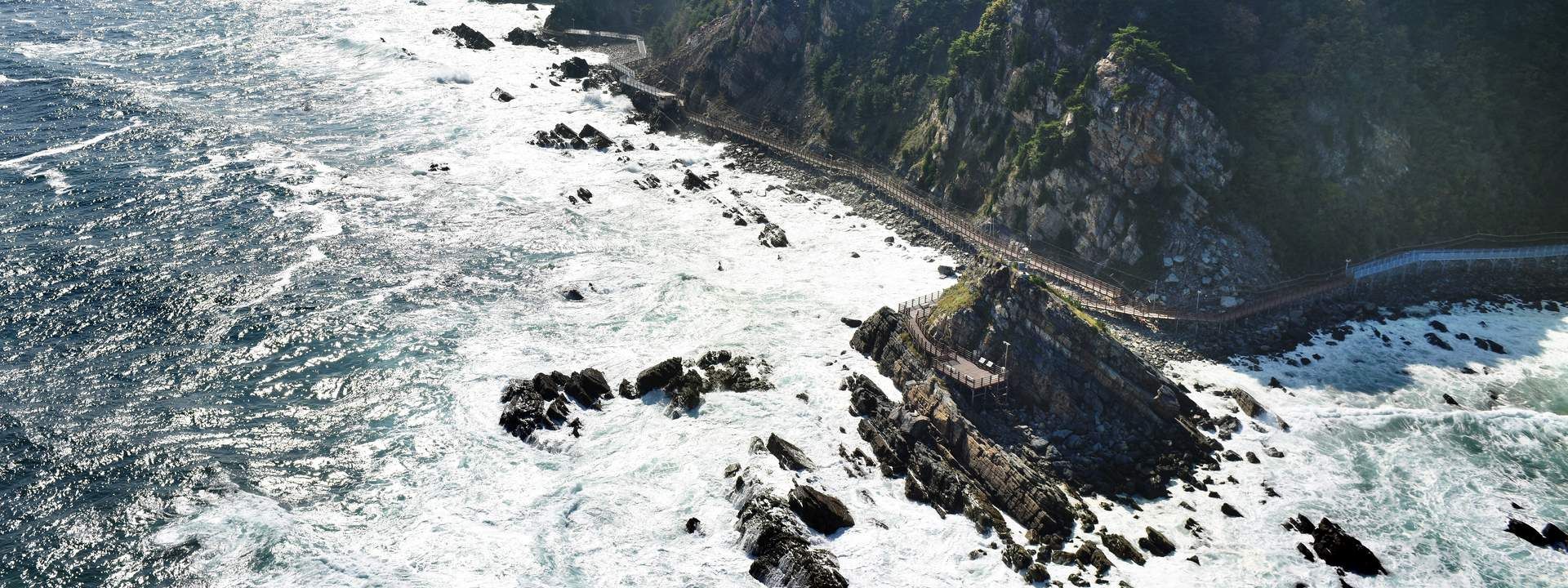Jeongdong-Simgok Badabuchae-gil Trail and Jeongdongjin Rail Bike Day Tour in Gangneung from Seoul