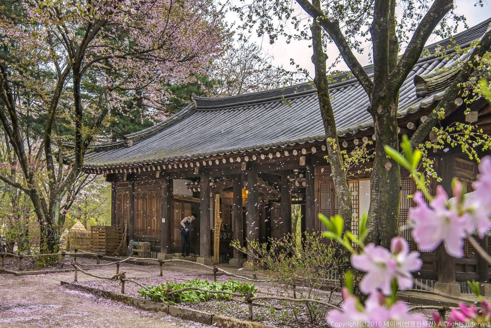 Nami Island & Mountain Seoraksan Day Tour from Seoul