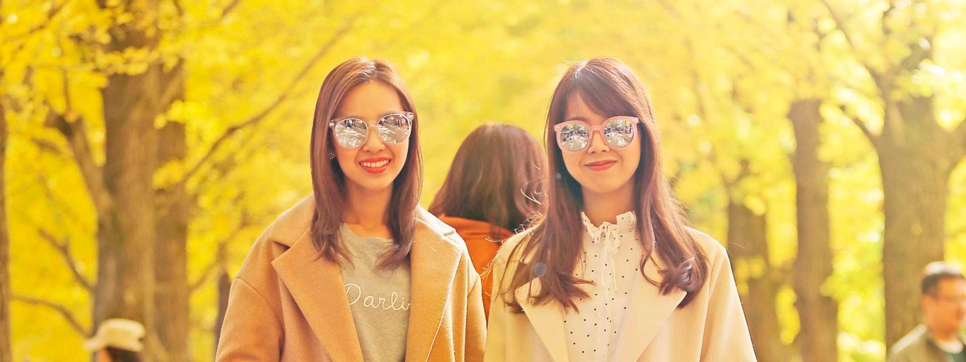 Nami Island and Petite France Photography Trip