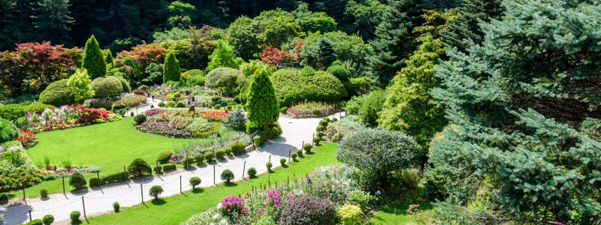 Nami Island, Garden of Morning Calm Festival, and Fruit Picking Tour from Seoul