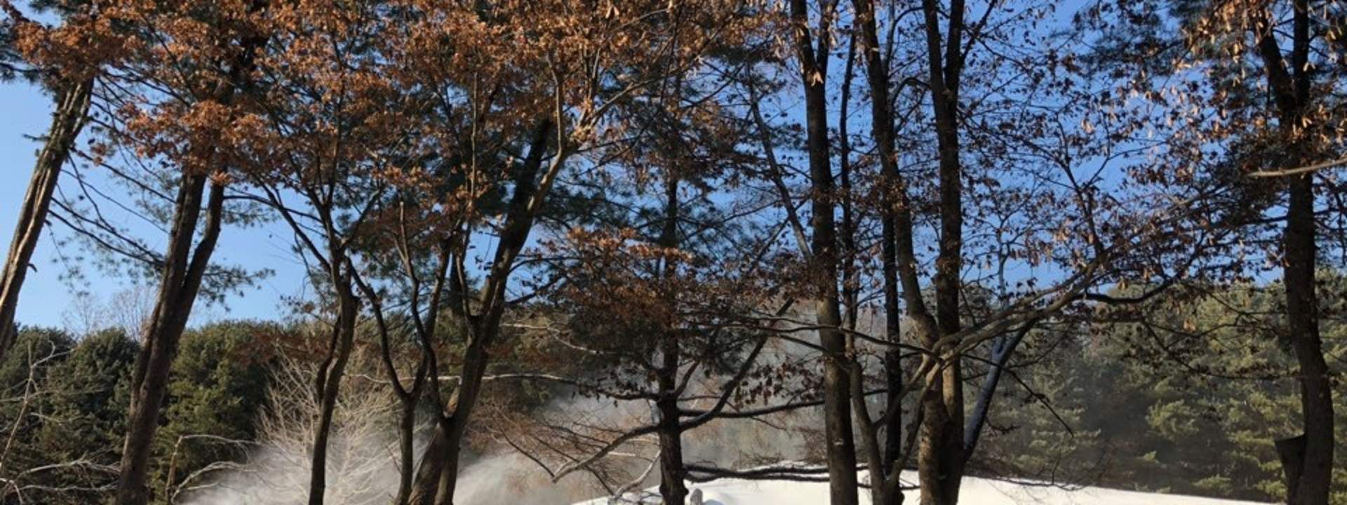Petite France, Nami Island, and Garden of Morning Calm Tour from Seoul (Afternoon Departure)