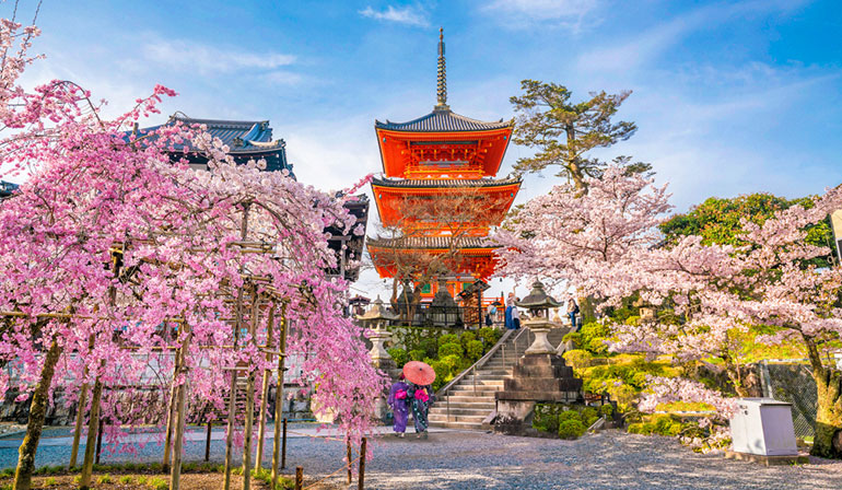 ทัวร์ญี่ปุ่น