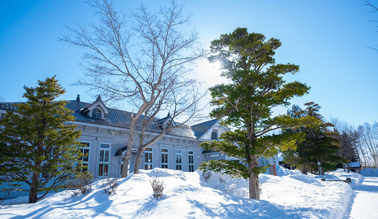 ทัวร์ญี่ปุ่น