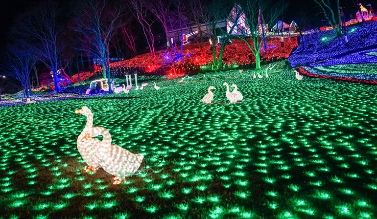 Japan Tokyo Haneda Naraijuku Hakuba Sagamiko Festival 6 Days 4 Nights GOJP9865