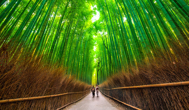 Japan Osaka Kyoto Arashiyama Takayama Shirakawa-go 5 Days 3 Nights GOJP9890